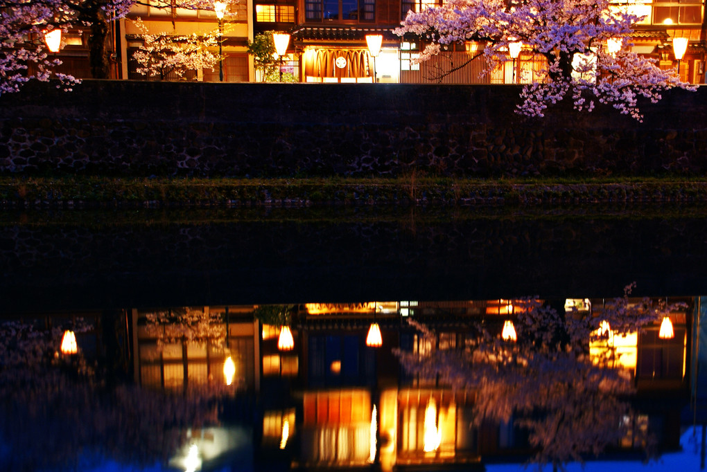 宵の桜 at 夢川町