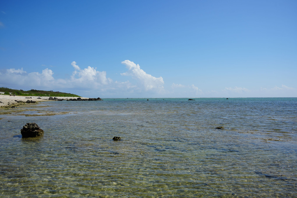 石垣島白保海岸