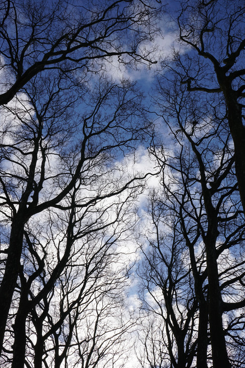 青空