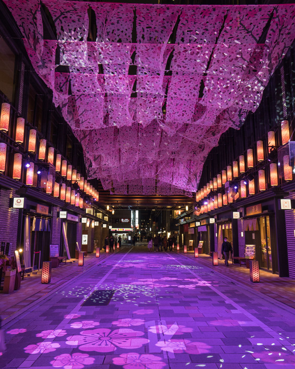 SAKURA TUNNEL