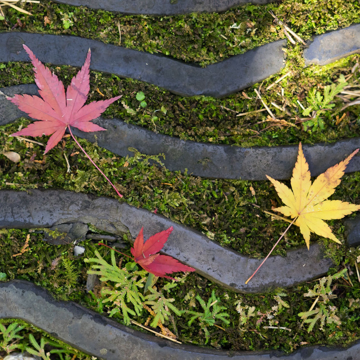 一条恵観山荘を訪ねて