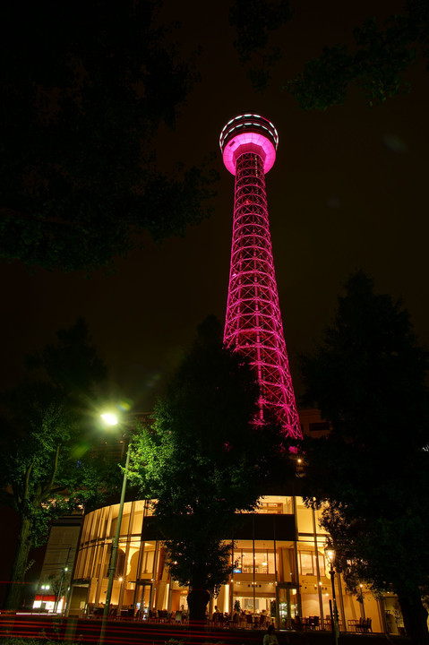 Pink Ribbon 2016 in Yokohama