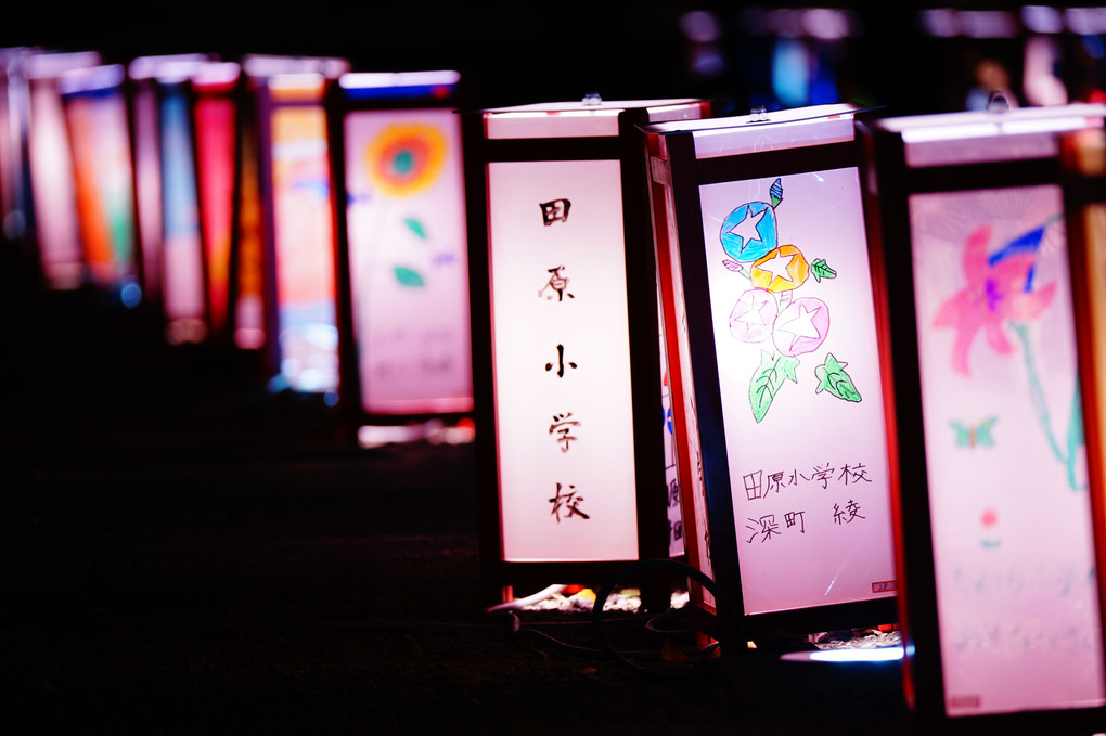 やわらかな灯り ～浅草燈籠祭2017～