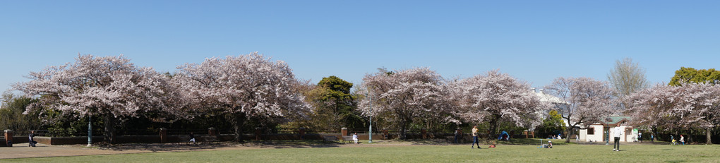 残っていた春の景色