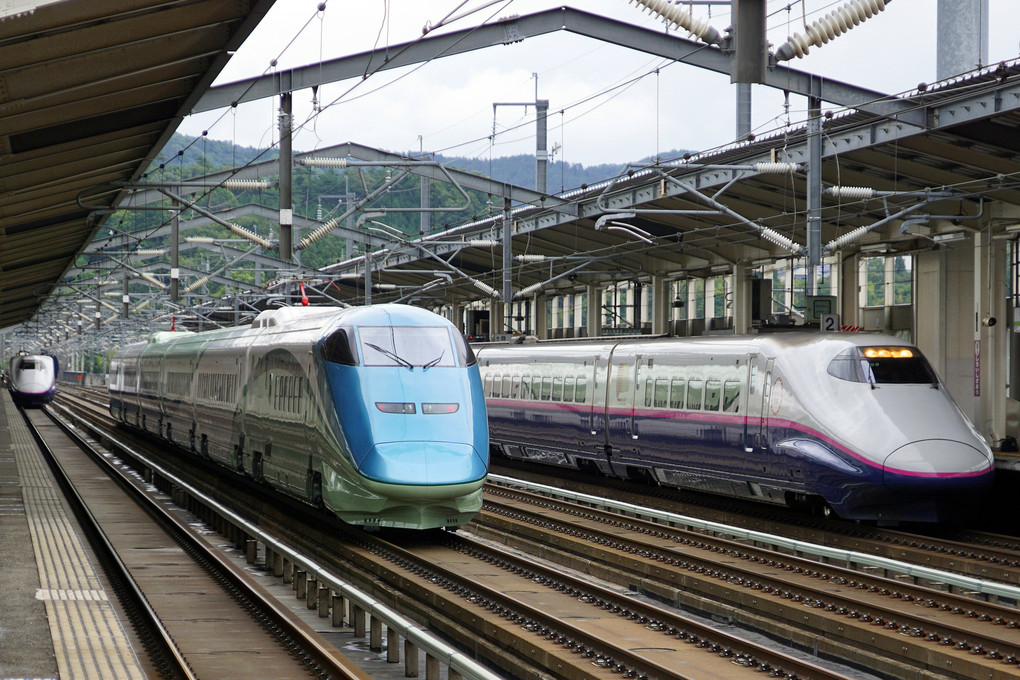 先行列車に追いつき停車する東北新幹線をゆく『とれいゆ』