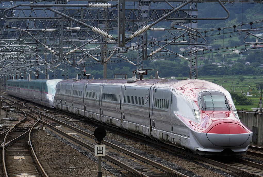 東北新幹線を快走する『とれいゆ』とE5,E6,E7系新幹線
