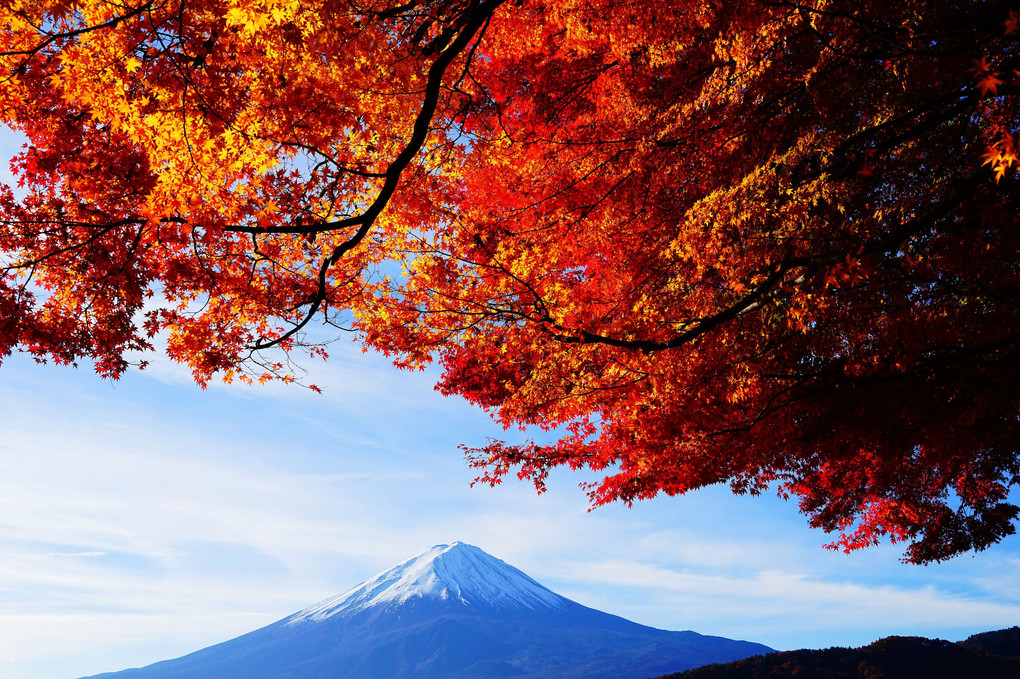 富士紅葉景