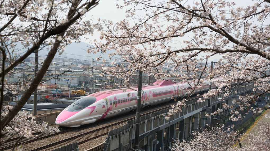 桜とキティー新幹線
