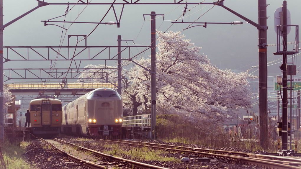 伯備線　木野山駅の桜とサンライズ