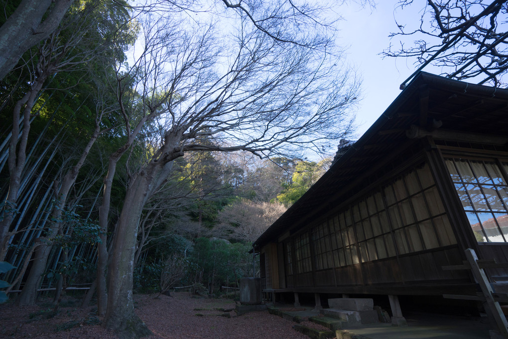 鎌倉・英勝寺の冬（組写真）