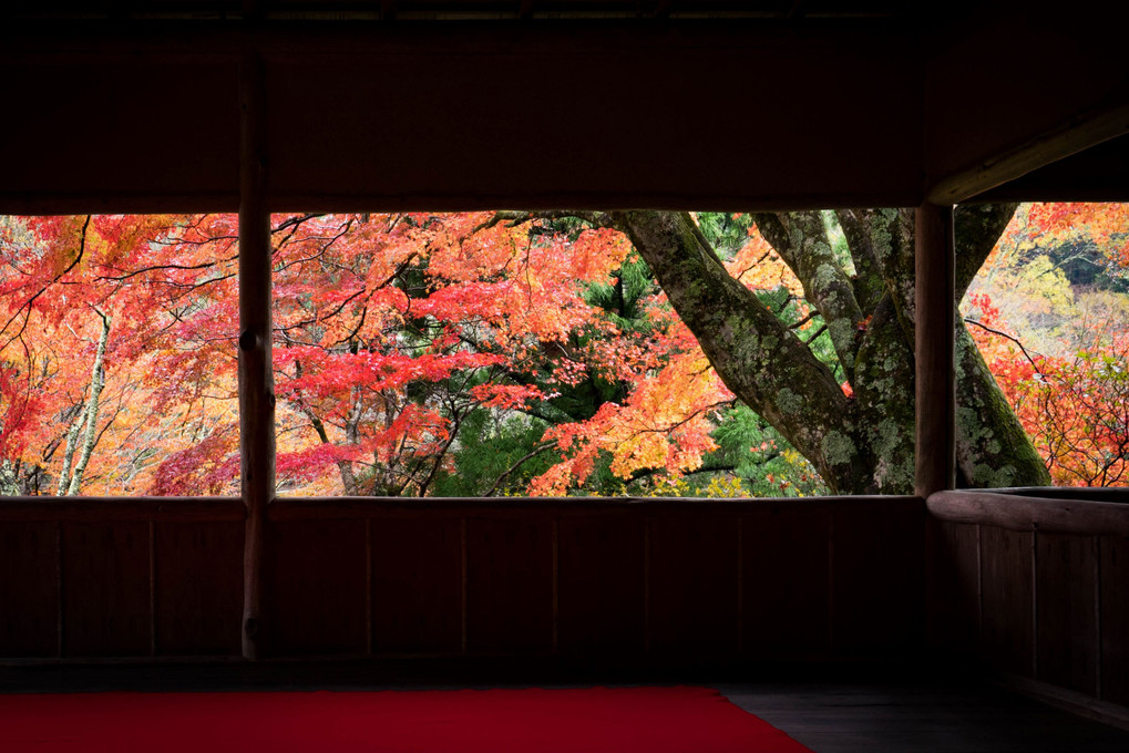 京都・白龍園の窓から