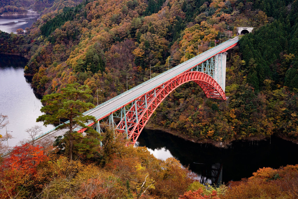 紅葉に映える赤い橋    