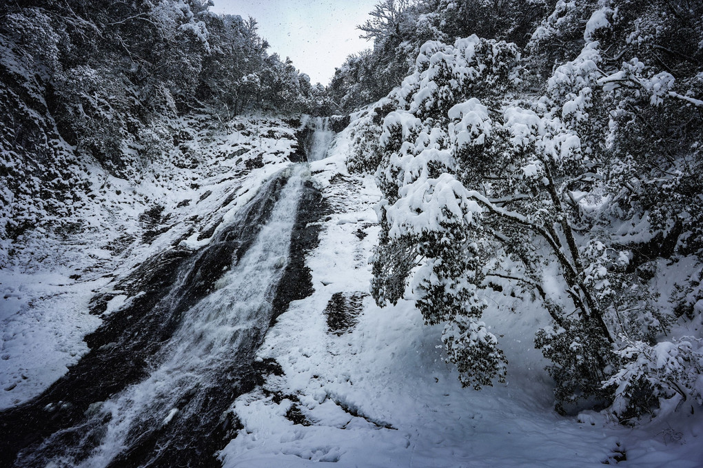 冬の観音滝