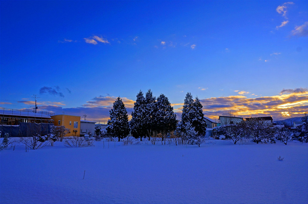 庭先の夕景13