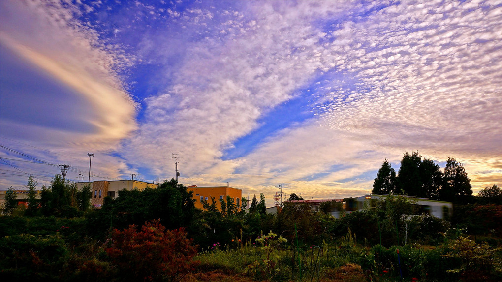 庭先の雲・秋4