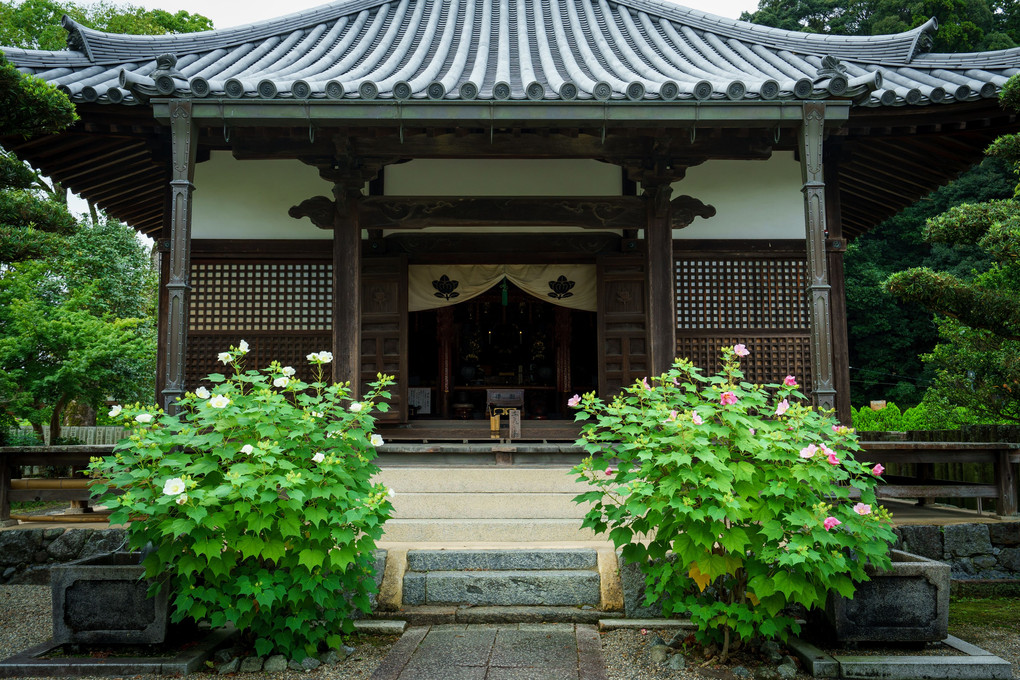 橘寺