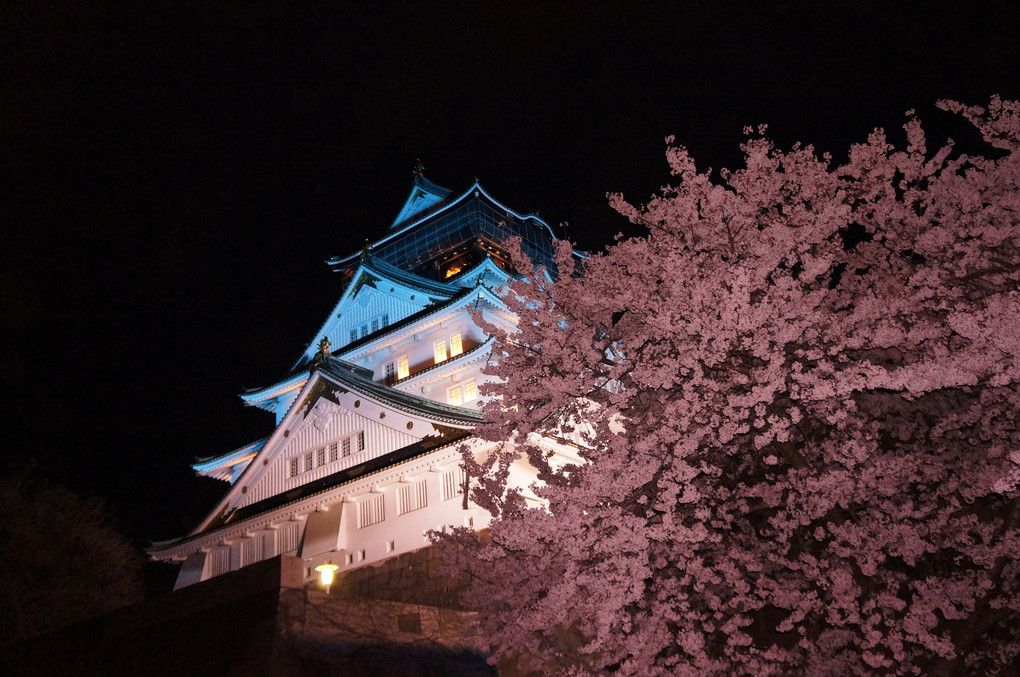 夜桜 -大阪城-