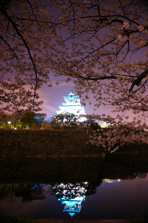 夜桜 -大阪城-2014