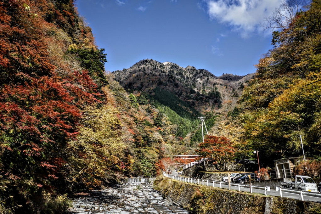 梅ヶ島温泉の紅葉