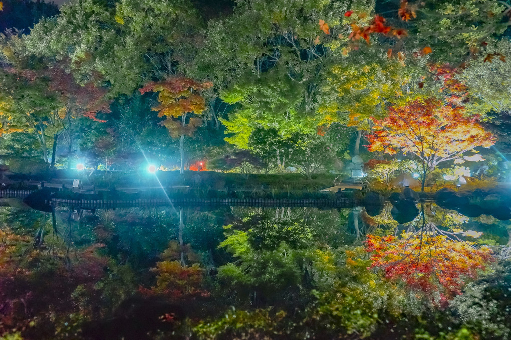 秋の夜散歩🍁（7枚）