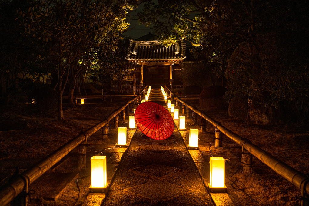 寺門と和傘と灯りの夜