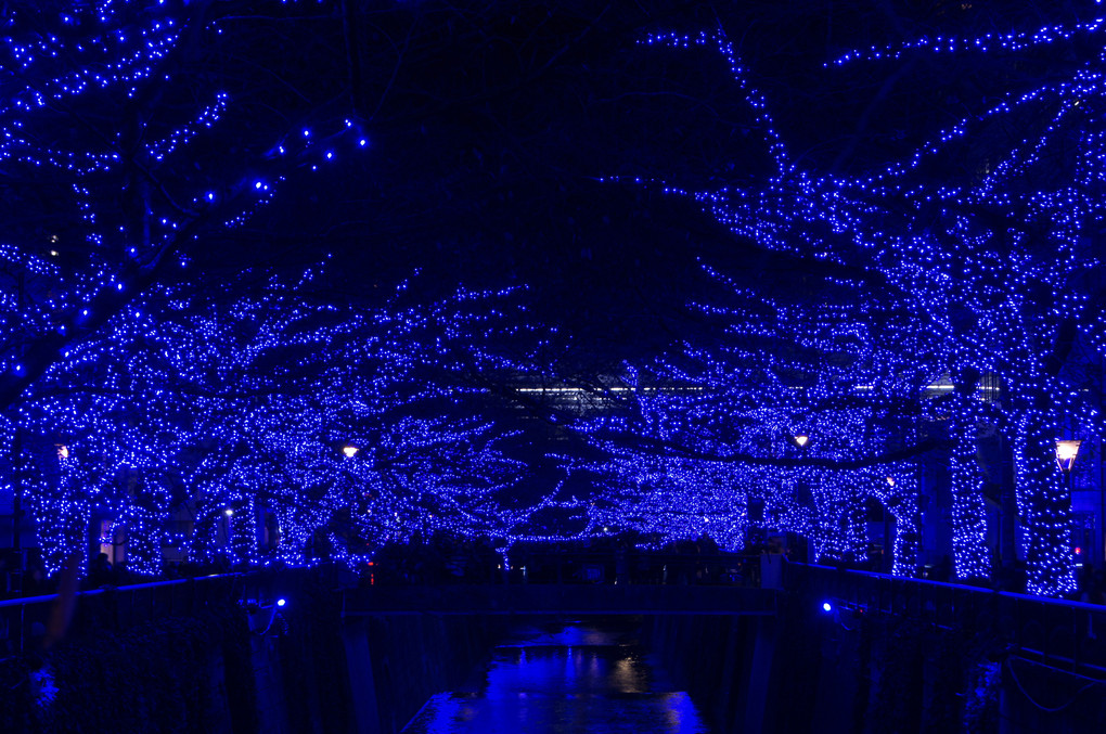 東京の青の洞窟