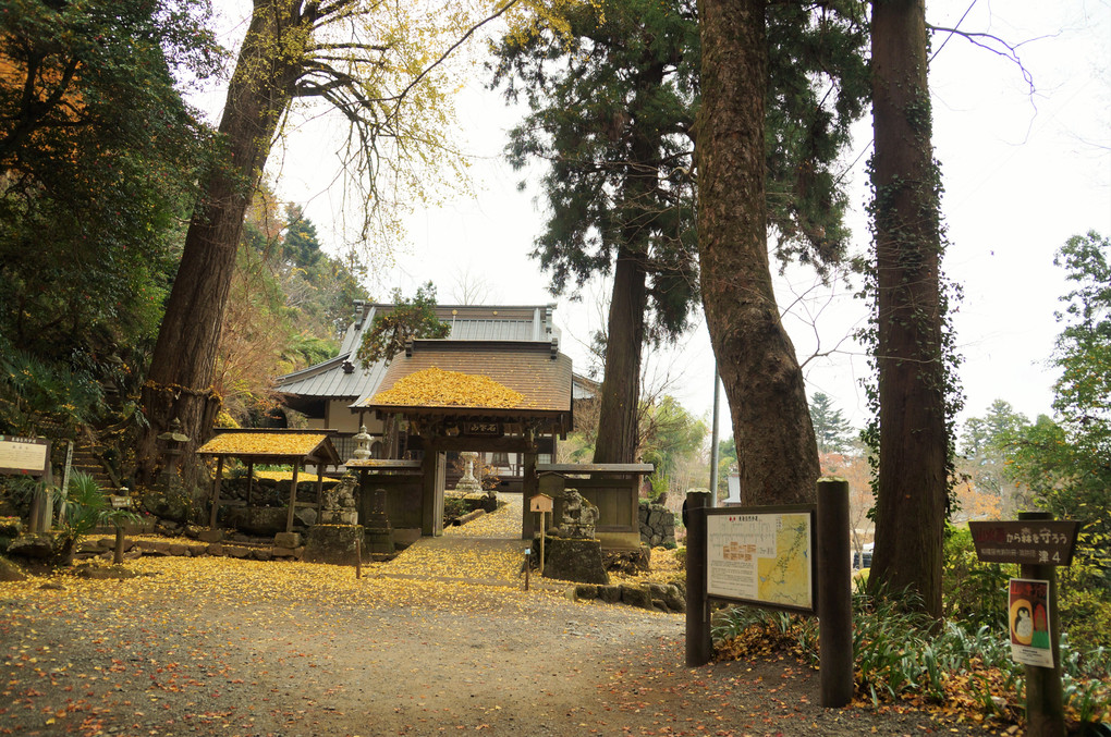 石老山顕鏡寺１２月１０日の遅い紅葉