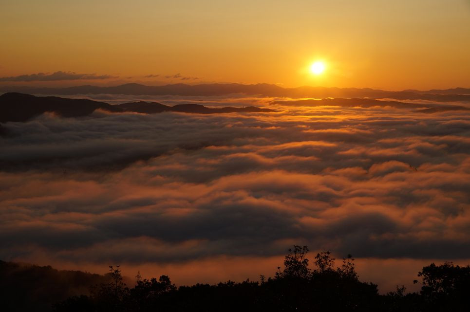 高谷山雲海