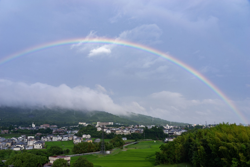 雨上がり