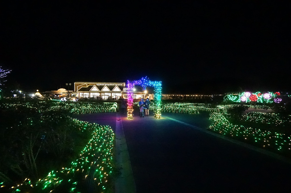 茨城県フラワーパーク　イルミネーション