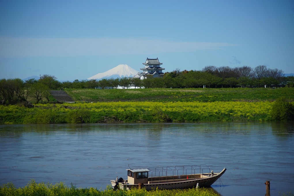 富士山と関宿城