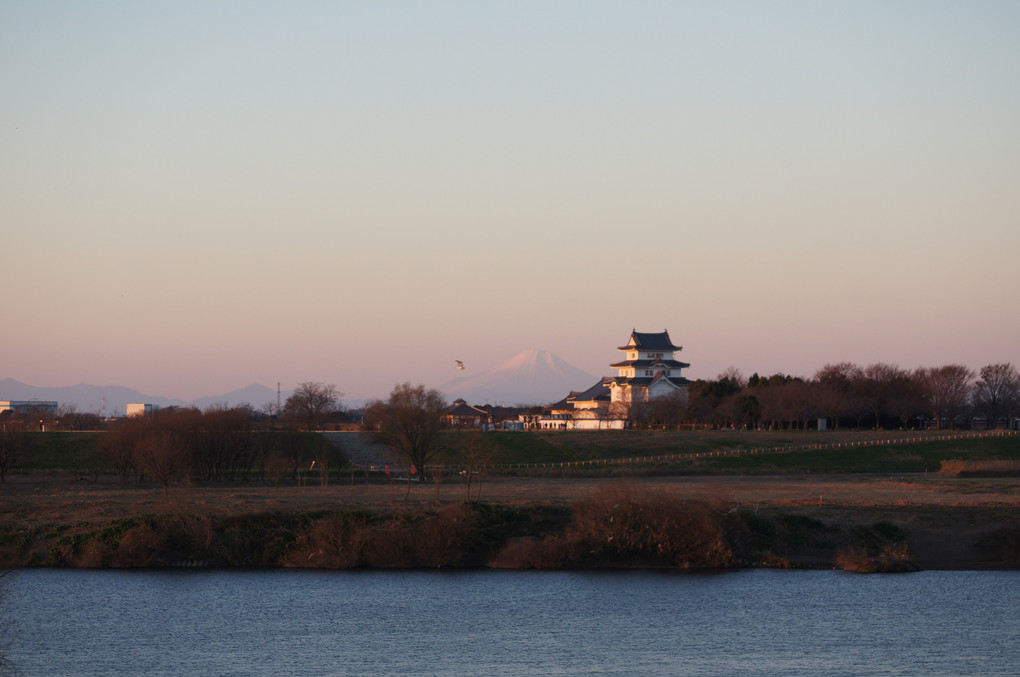 元旦の富士山と関宿城