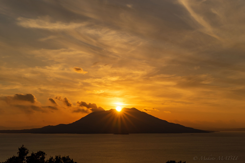 ダイヤモンド桜島 2019