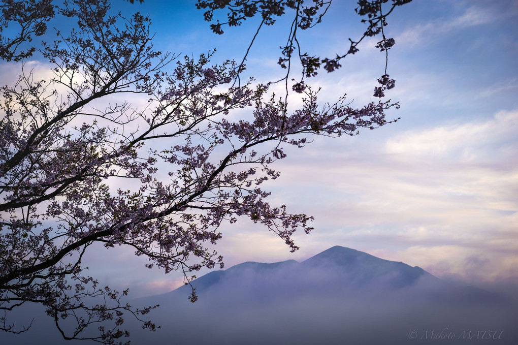 春の霧島