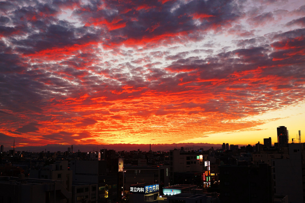 本日の夕景