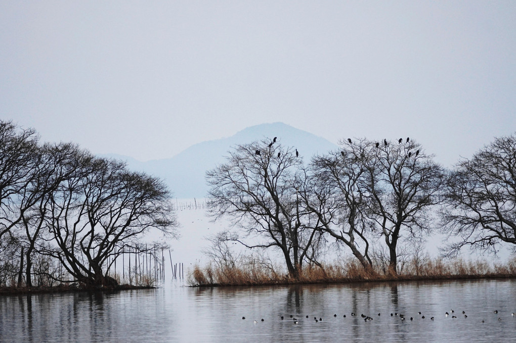 冬の奥琵琶湖（２景）