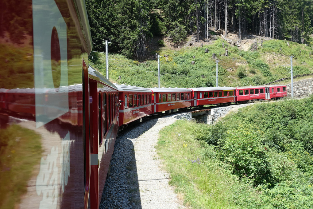 森林を駆け抜けるベルニナ鉄道