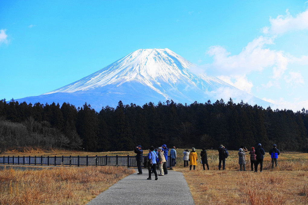 富士山麓でバードウオッチング