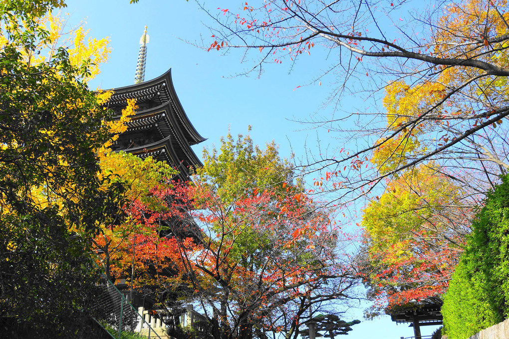 五重塔と紅葉