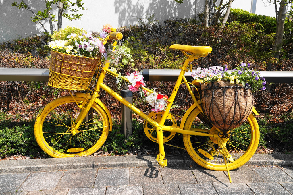 春の花と黄色い自転車