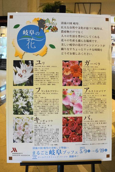 岐阜の花