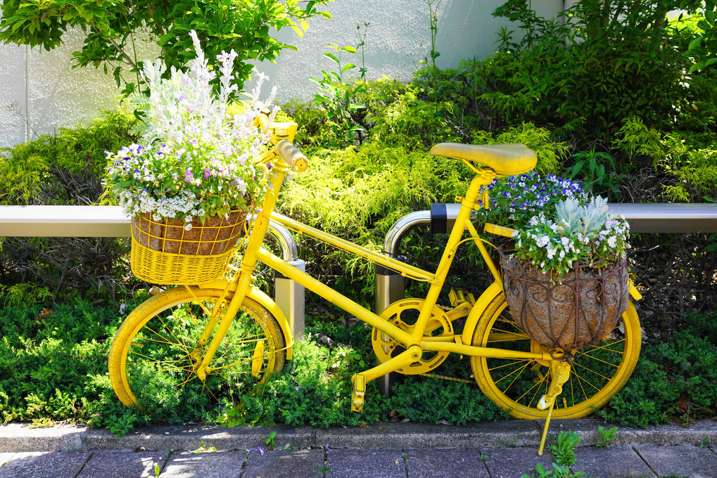 春の花と黄色い自転車