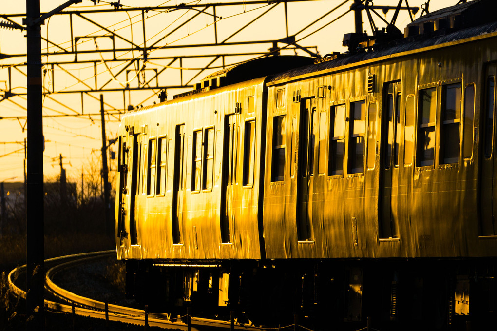 Golden train