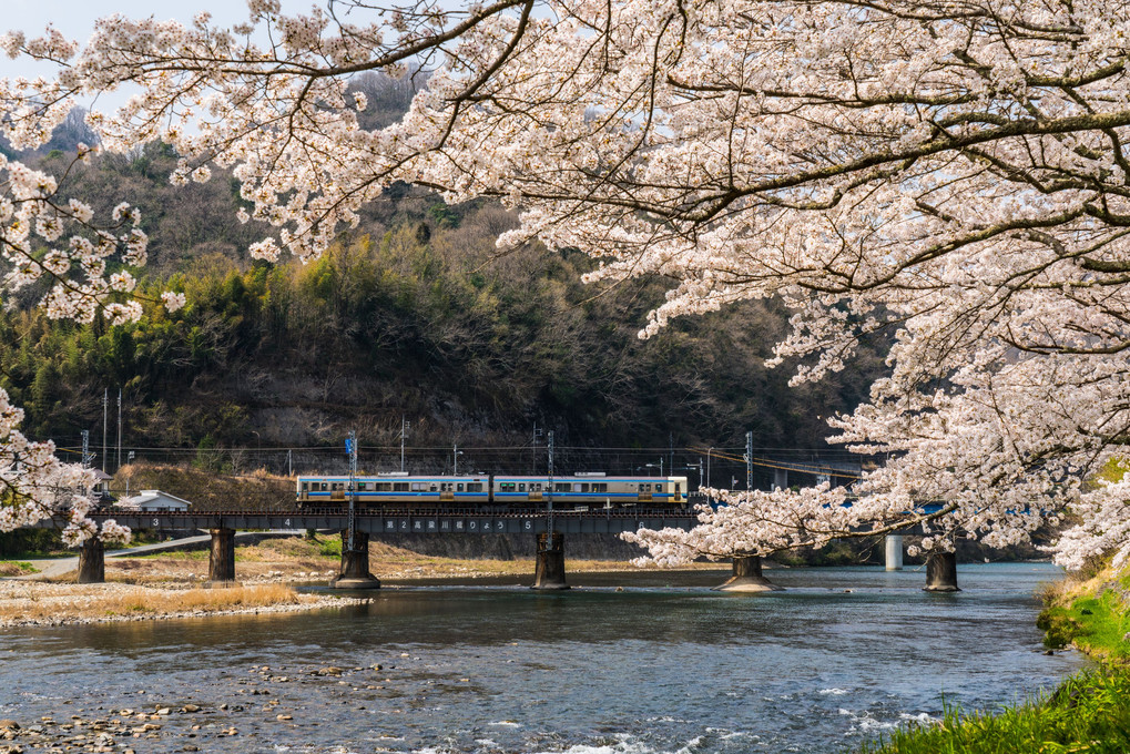 ２０１８　Sakura＆２１３System