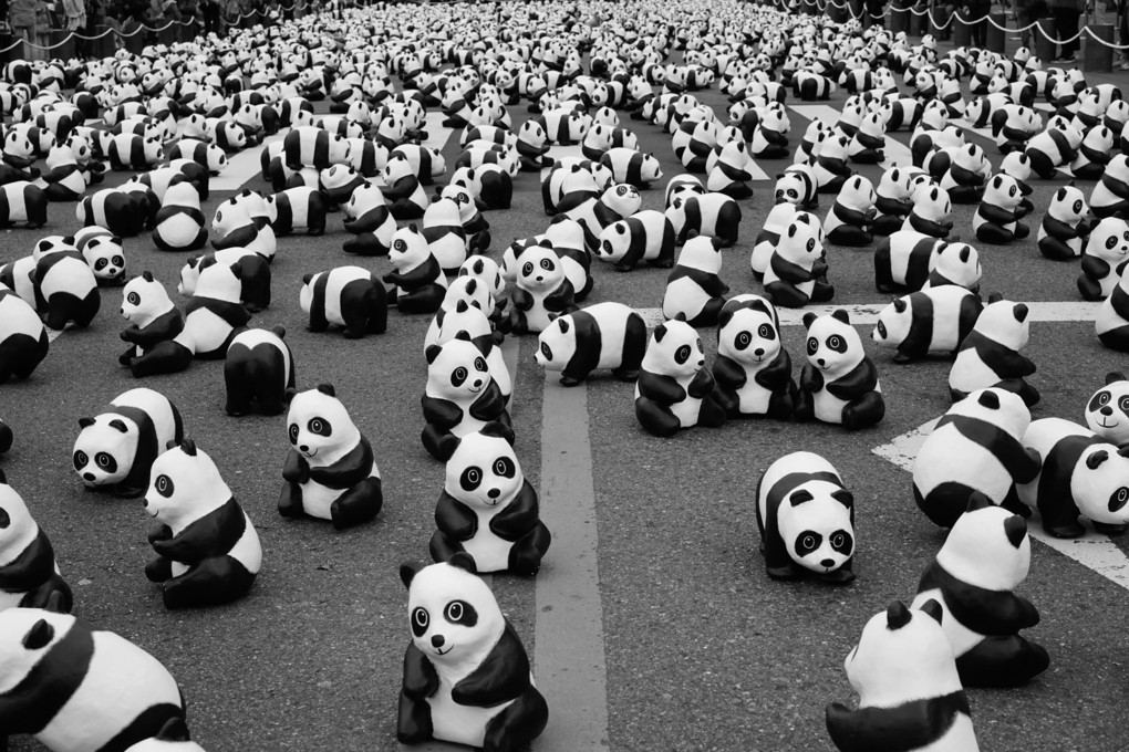 1600 panda
