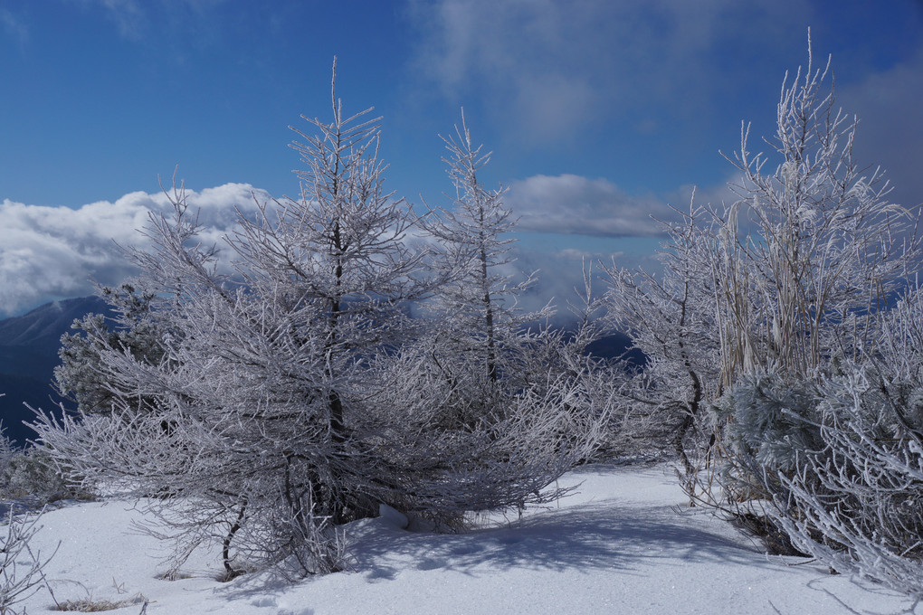 雪景色ー3景