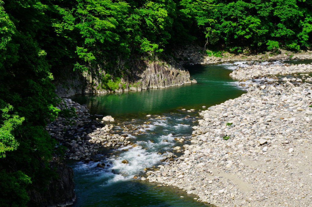 緑色の琵琶湖界隈