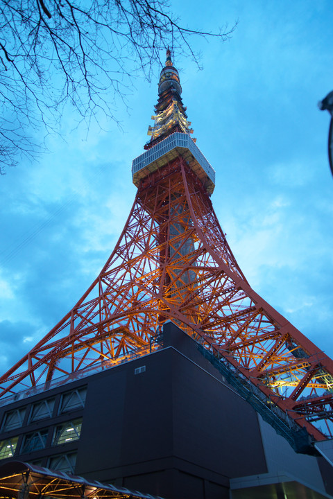 寒空の東京タワー