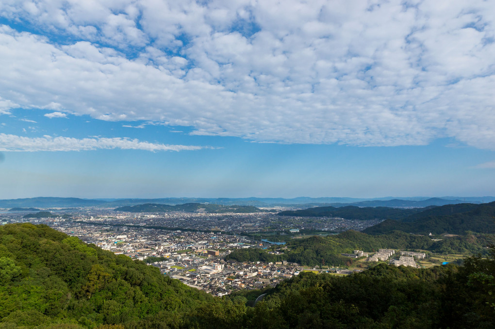 朝の散歩で