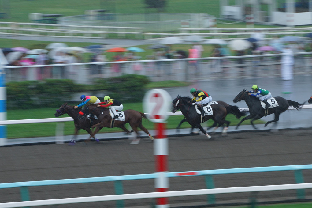 ～札幌競馬場で競走馬を流し撮りしよう～